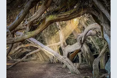 39574 Leeward Road, The Sea Ranch, CA 95497 - Photo 60