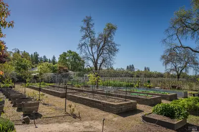 1101 Hedgeside Avenue, Napa, CA 94558 - Photo 20