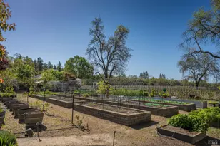 1101 Hedgeside Ave, Napa, CA 94558 - Photo 20