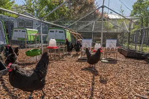 1101 Hedgeside Ave, Napa, CA 94558 - Photo 22