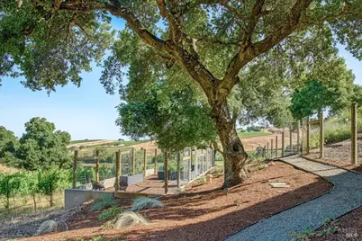 710 Soscol Creek Road, Napa, CA 94558 - Photo 54