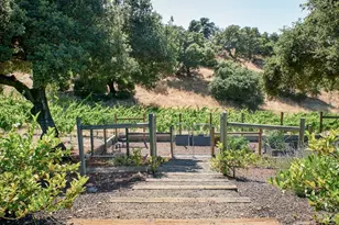 710 Soscol Creek Rd, Napa, CA 94558 - Photo 46