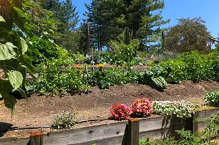 1910 Charoliase Dr, Navarro, CA 95463 - Photo 56