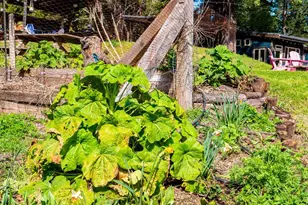 1910 Charoliase Dr, Navarro, CA 95463 - Photo 52