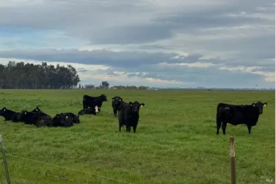 0 Hyde Road, Dixon, CA 95620 - Photo 8