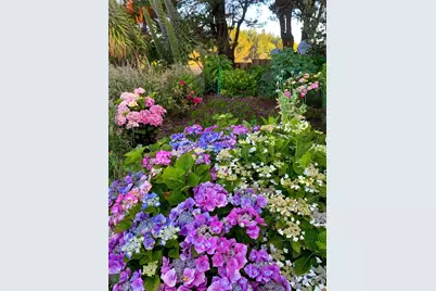 43500 Crispin Road, Manchester, CA 95459 - Photo 36