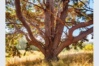 43500 Crispin Road, Manchester, CA 95459 - Photo 90