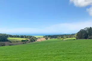 43500 Crispin Rd, Manchester, CA 95459 - Photo 96