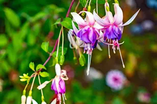 43500 Crispin Rd, Manchester, CA 95459 - Photo 42