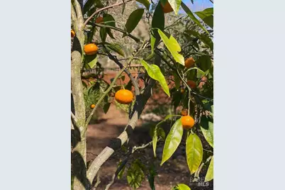 838 Oakwood Drive, Sonoma, CA 95476 - Photo 46