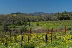 1366 Mission Dr, Sonoma, CA 95476 - Photo 48