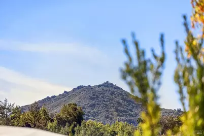 38 Cornell Avenue, Larkspur, CA 94939 - Photo 52