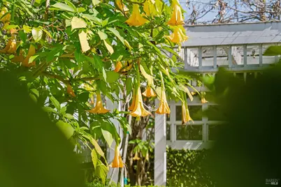 102 F Street, San Rafael, CA 94901 - Photo 44