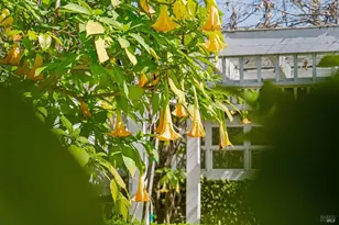 102 F St, San Rafael, CA 94901 - Photo 44