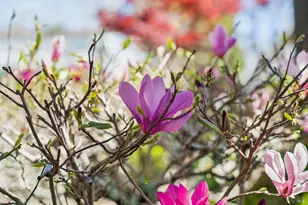 102 F St, San Rafael, CA 94901 - Photo 42