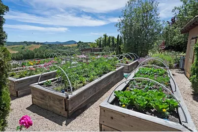 [Address not provided], Healdsburg, CA 95448 - Photo 38