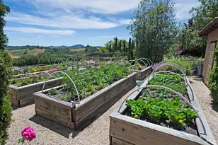 [Address not provided], Healdsburg, CA 95448 - Photo 38