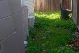 301 Broadway St, Petaluma, CA 94952 - Photo 48