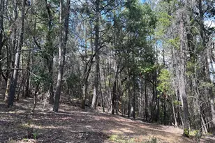 73046 Hill Rd, Covelo, CA 95428 - Photo 12