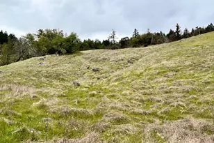 8401 Brandywine Dr, Ukiah, CA 95482 - Photo 50