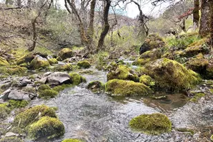 8401 Brandywine Dr, Ukiah, CA 95482 - Photo 52