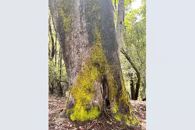 8401 Brandywine Drive, Ukiah, CA 95482 - Photo 64