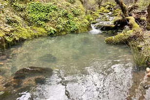 8401 Brandywine Dr, Ukiah, CA 95482 - Photo 6