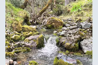 8401 Brandywine Drive, Ukiah, CA 95482 - Photo 40