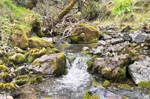 8401 Brandywine Dr, Ukiah, CA 95482 - Photo 40