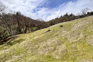 8401 Brandywine Dr, Ukiah, CA 95482 - Photo 72