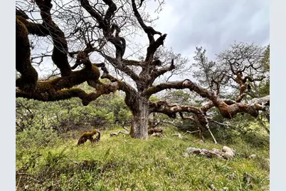 8401 Brandywine Drive, Ukiah, CA 95482 - Photo 54