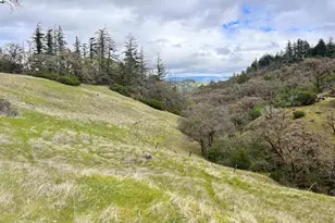 8401 Brandywine Dr, Ukiah, CA 95482 - Photo 60