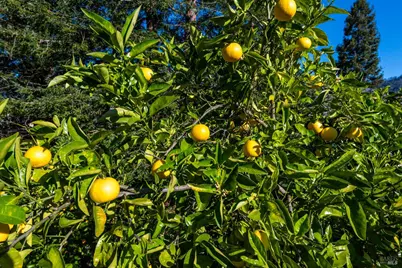 5445 Pine Hill Court, Santa Rosa, CA 95409 - Photo 40