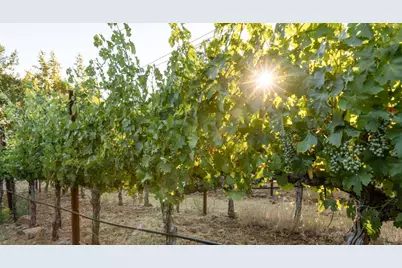 0 Aetna Springs Lane, Pope Valley, CA 94567 - Photo 6