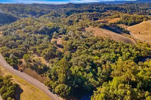 350 Canyon Rd, Geyserville, CA 95441 - Photo 28