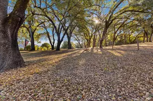 350 Canyon Rd, Geyserville, CA 95441 - Photo 26