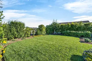 16 Upland Rd, Saint Helena, CA 94574 - Photo 78
