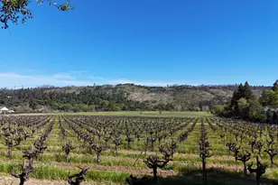 1328 Monte Vista Ave, Saint Helena, CA 94574 - Photo 6