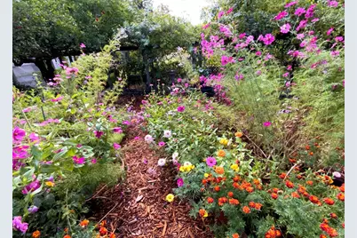 4038 E 3rd Avenue, Napa, CA 94558 - Photo 70