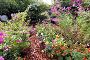 4038 E 3rd Ave, Napa, CA 94558 - Photo 70