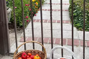 4038 E 3rd Ave, Napa, CA 94558 - Photo 90