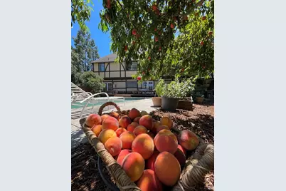 4038 E 3rd Avenue, Napa, CA 94558 - Photo 32