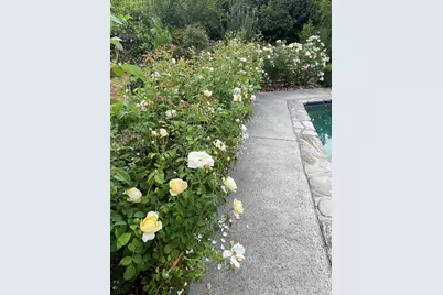 4038 E 3rd Avenue, Napa, CA 94558 - Photo 34