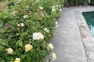 4038 E 3rd Ave, Napa, CA 94558 - Photo 34