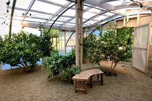 4038 E 3rd Ave, Napa, CA 94558 - Photo 80