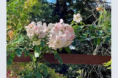 4038 E 3rd Avenue, Napa, CA 94558 - Photo 82
