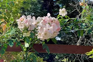 4038 E 3rd Ave, Napa, CA 94558 - Photo 82