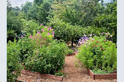 4038 E 3rd Avenue, Napa, CA 94558 - Photo 8