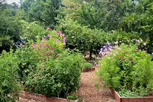 4038 E 3rd Ave, Napa, CA 94558 - Photo 8