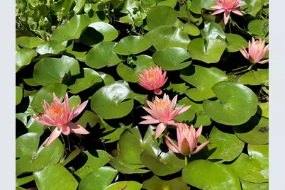 4038 E 3rd Avenue, Napa, CA 94558 - Photo 90